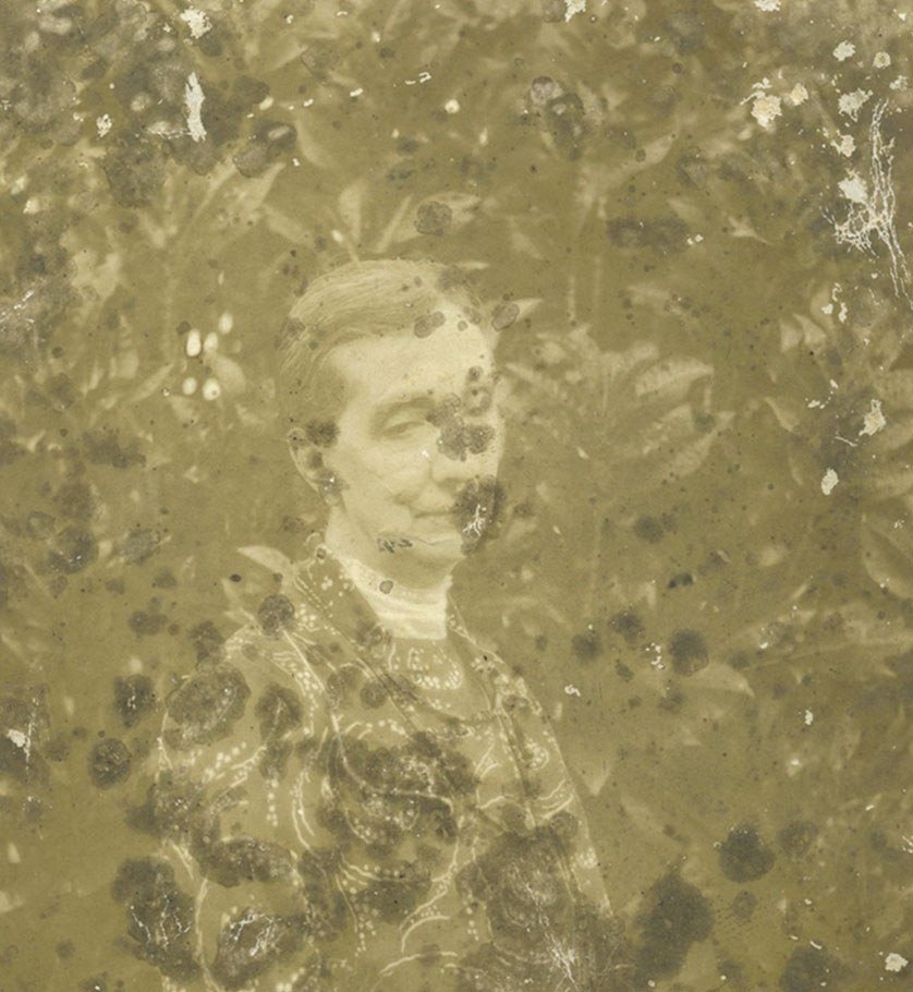 Sarah Ann Miles against tropical foliage (1 of 2)
